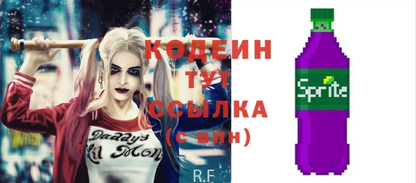 шишки Краснослободск