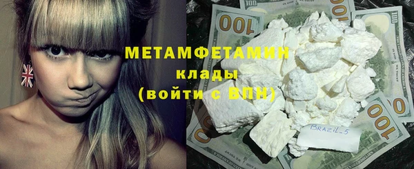 прущие грибы Корсаков